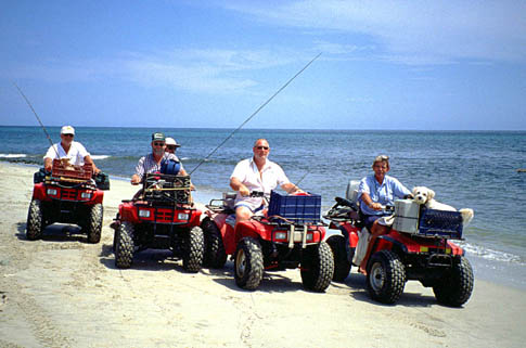 atvs3.jpg (36874 bytes)